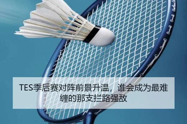 TES季后赛对阵前景升温，谁会成为最难缠的那支拦路强敌（huya）